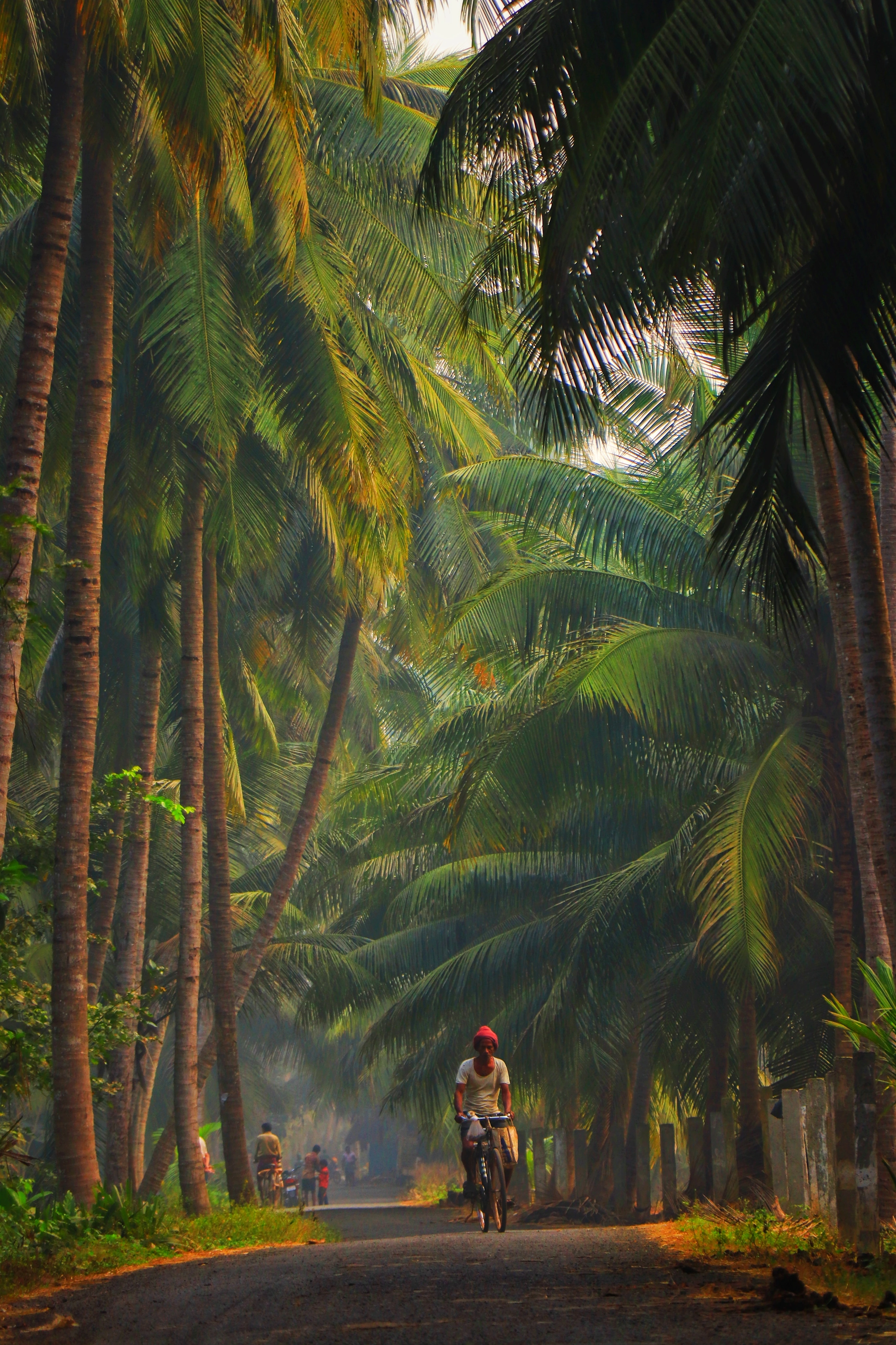 Glimpse of Kerala