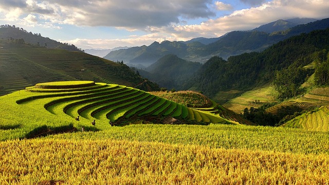 Enchanting Vietnam 8 Nights 9 Days