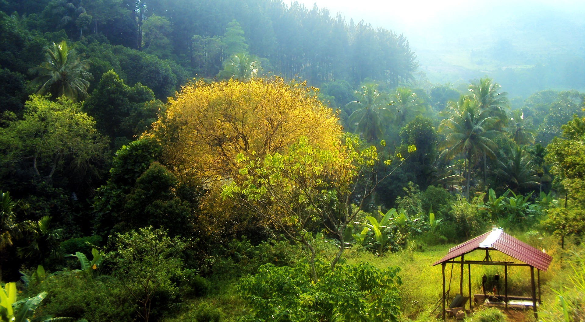 Sri Lanka