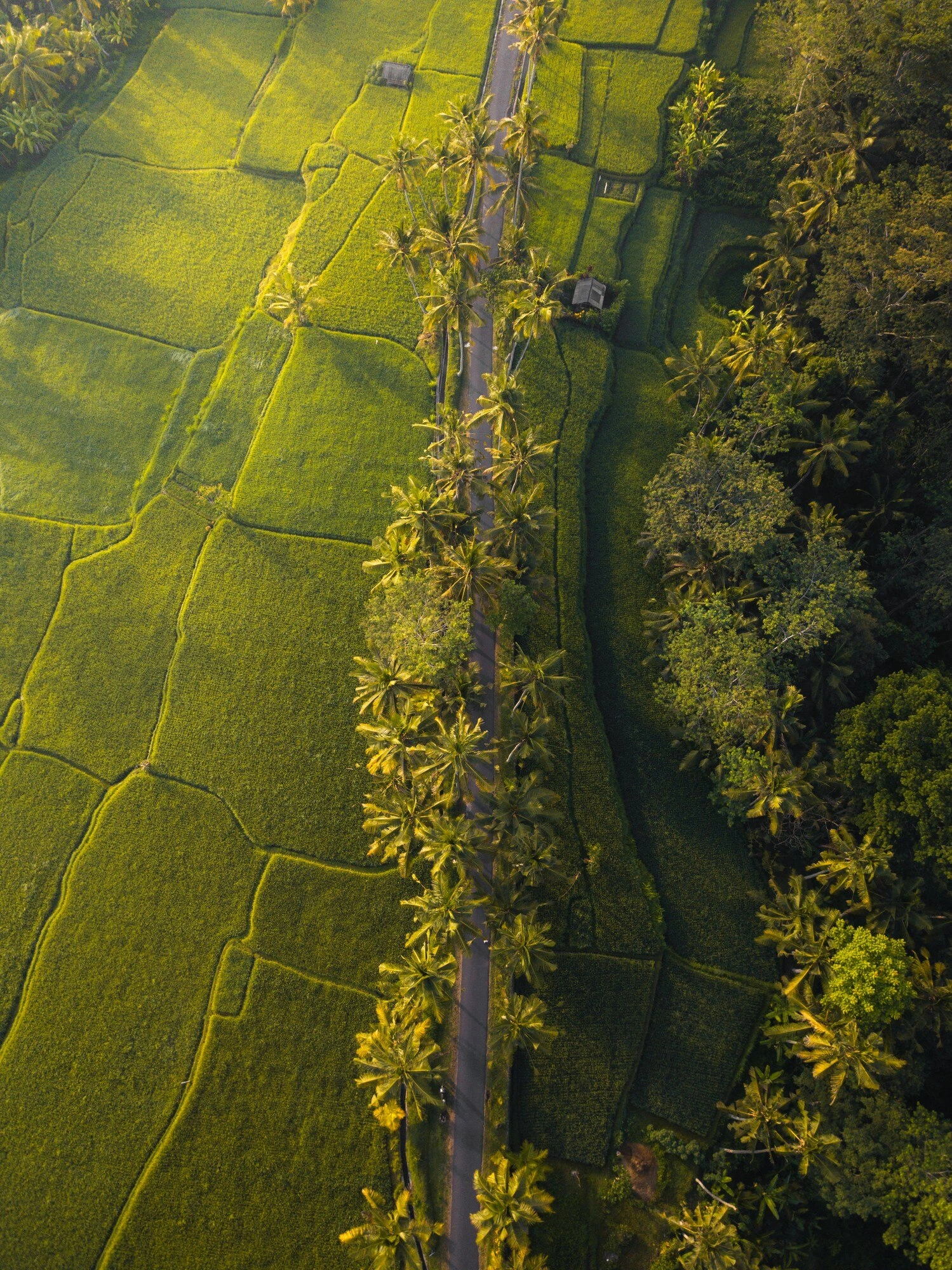 Ooty and Kerala